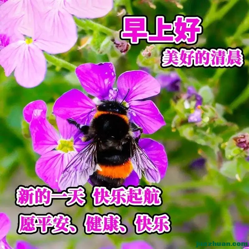 283406046_6_2024050911300569.webp.jpg