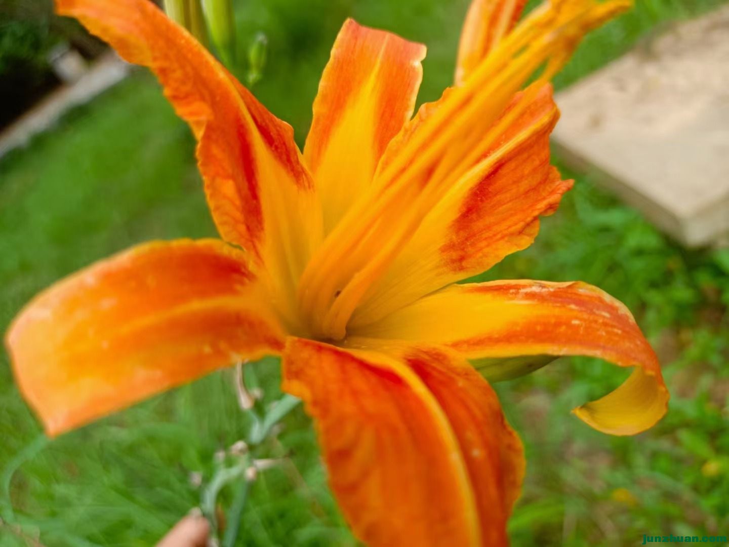 mmexport1715242412976.jpg