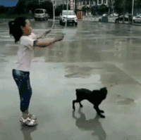 t04db005c121f972ffd.gif