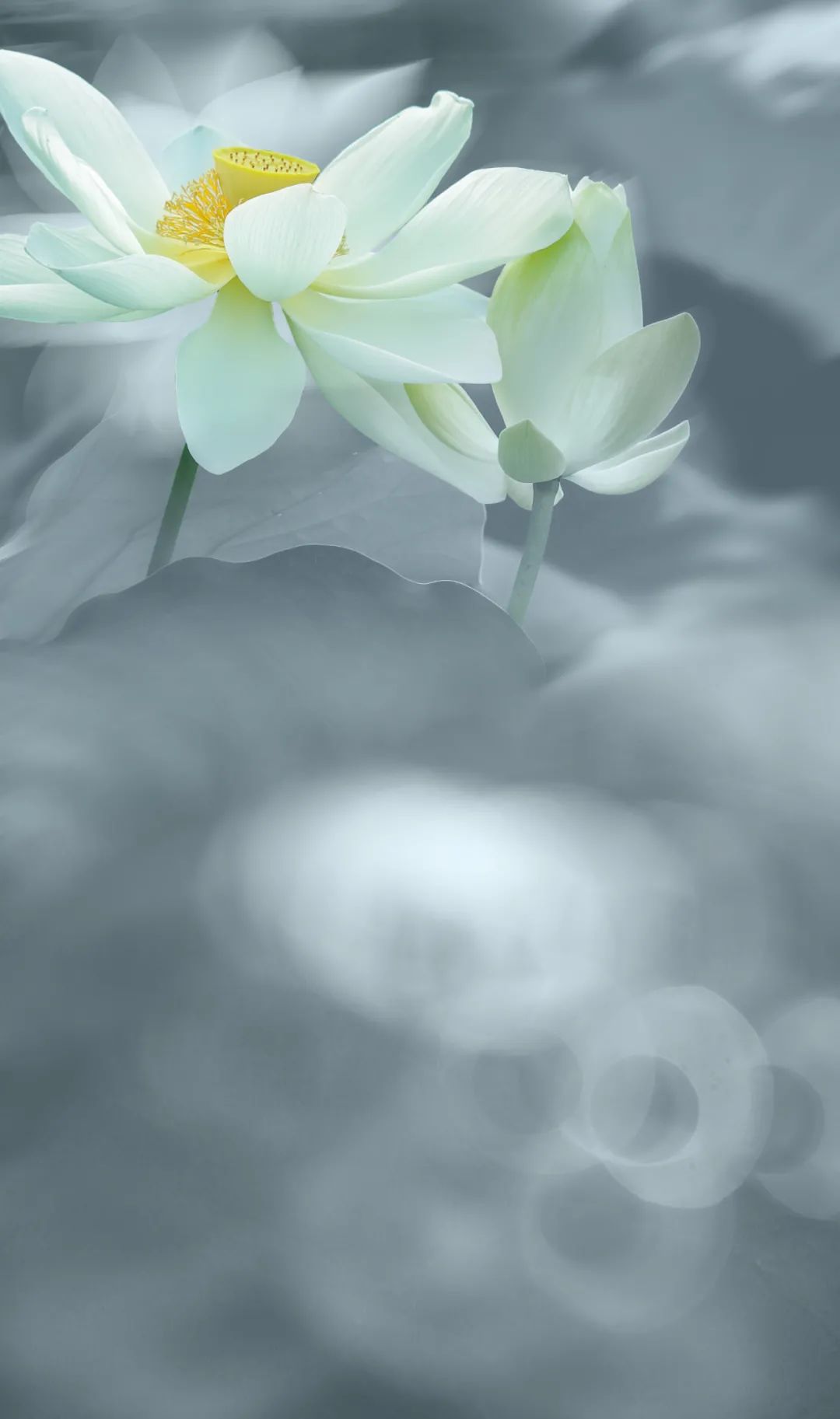 ΢ͼƬ_20240617074434.jpg