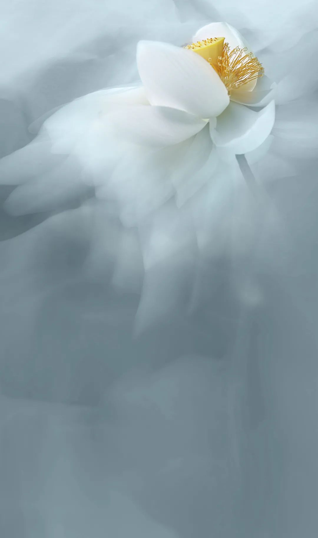 ΢ͼƬ_20240617074448.jpg