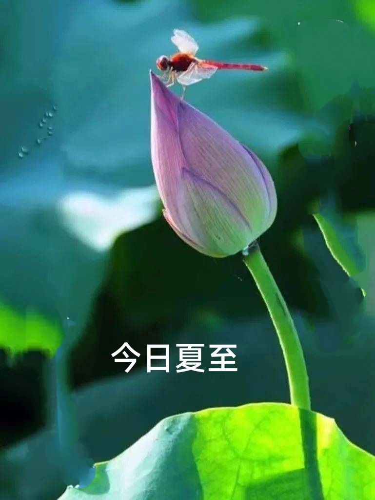 IMG_20240620_213654.jpg