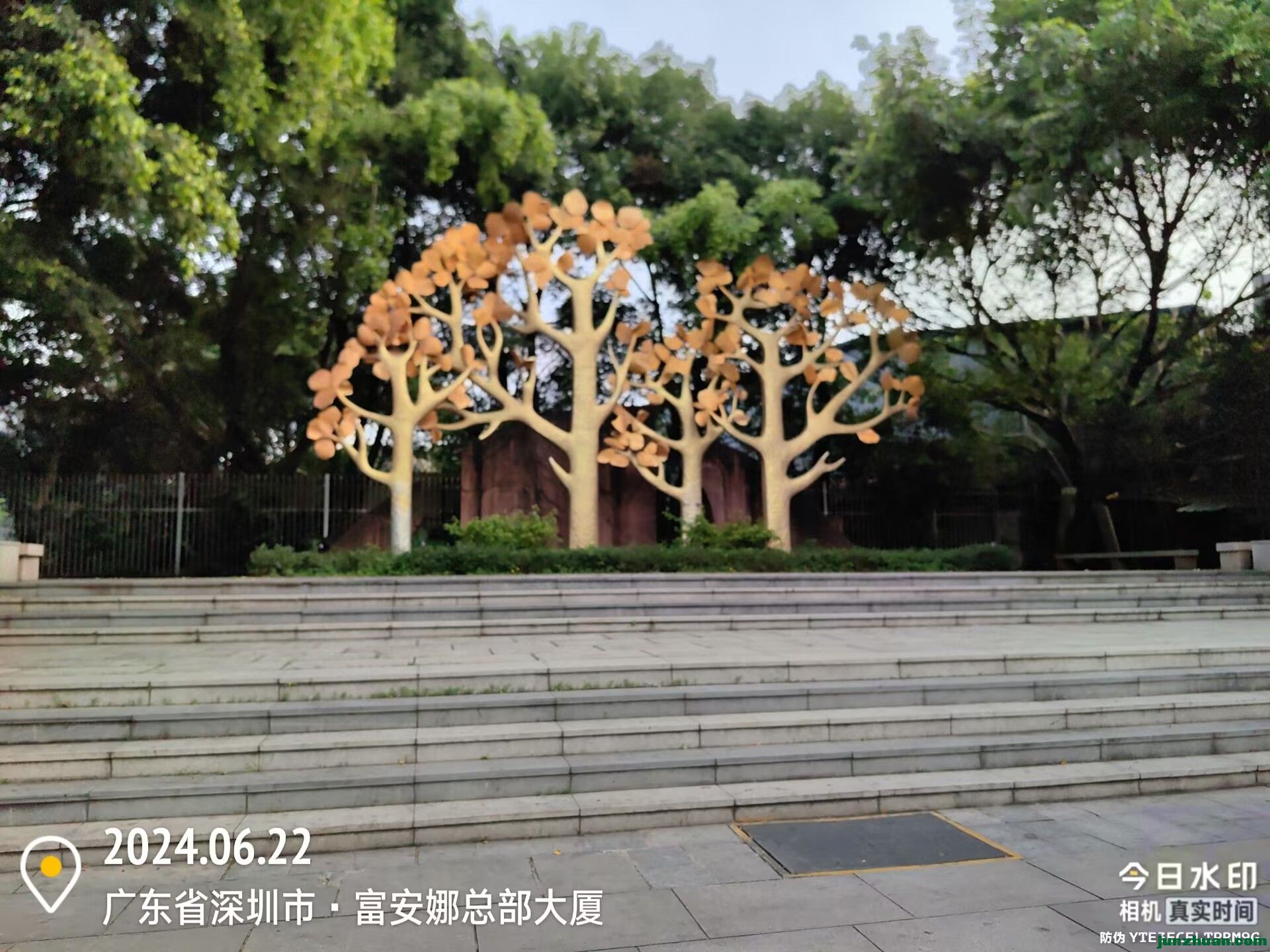 Image_1719103330435.jpg