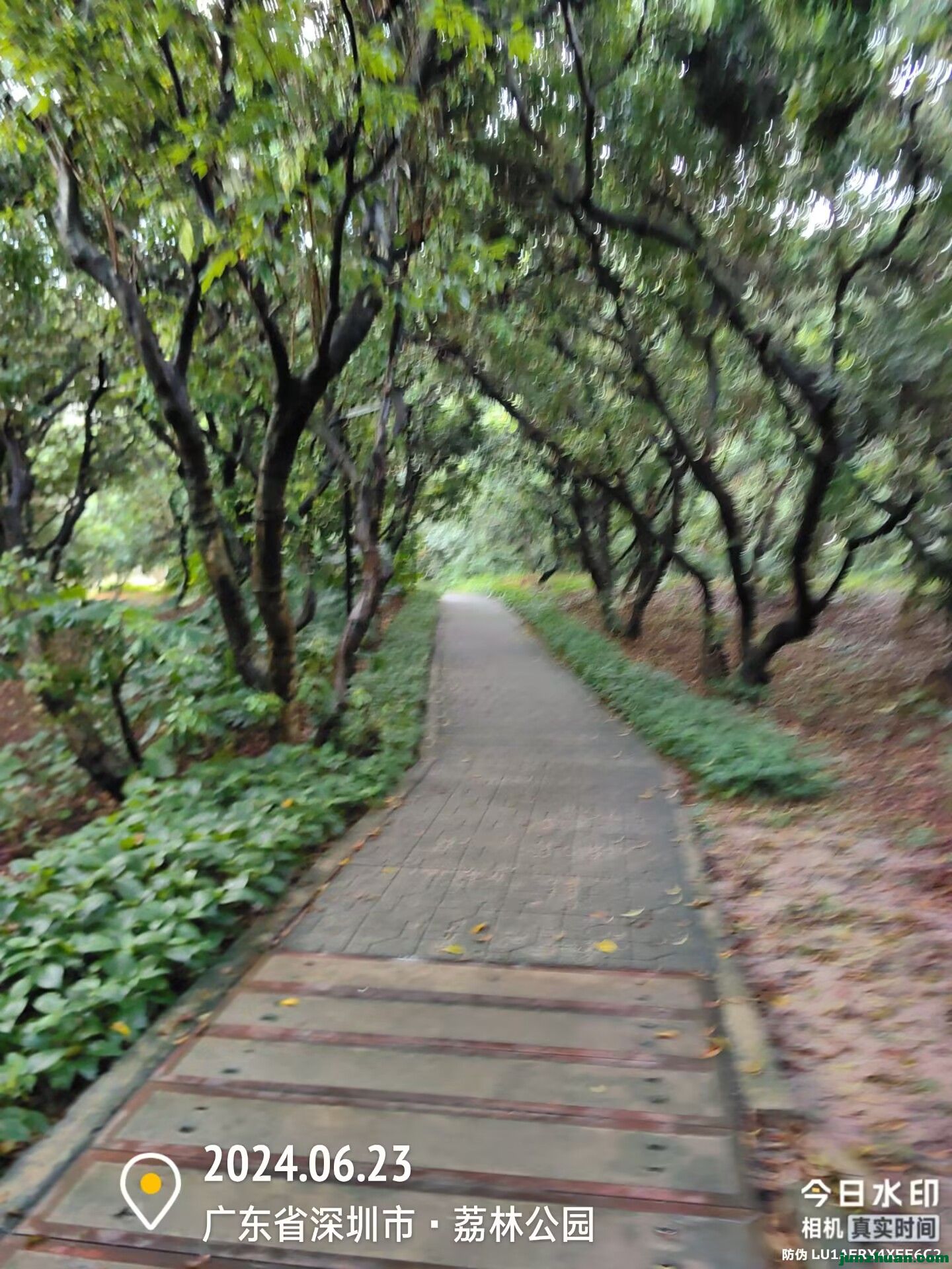 Image_1719103333430.jpg