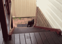s20131017123844579.gif