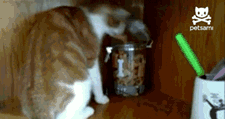 s20131017123848581.gif