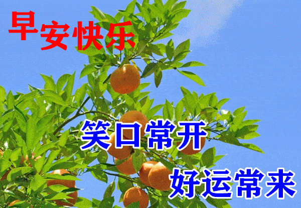 1.gif