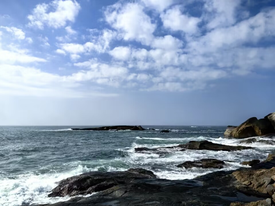 Image_1708117830217.jpg