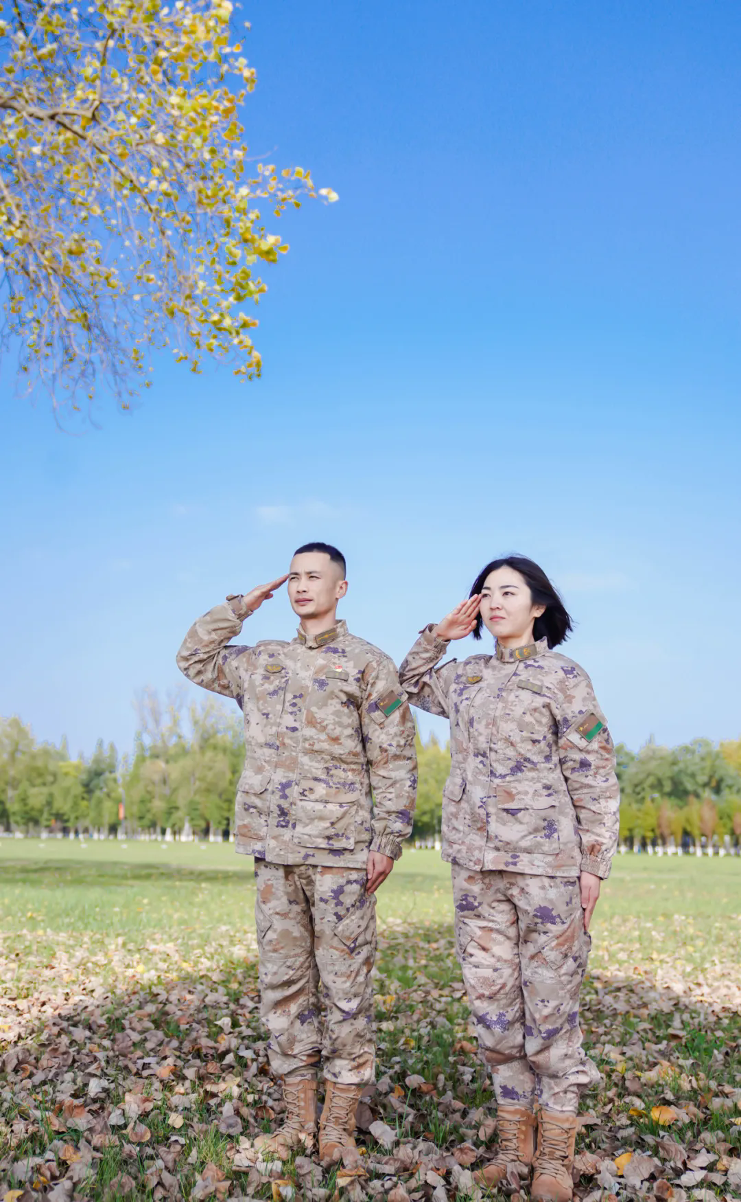 640.webp (4).png