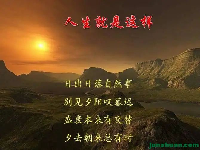 8704852_1.webp.jpg