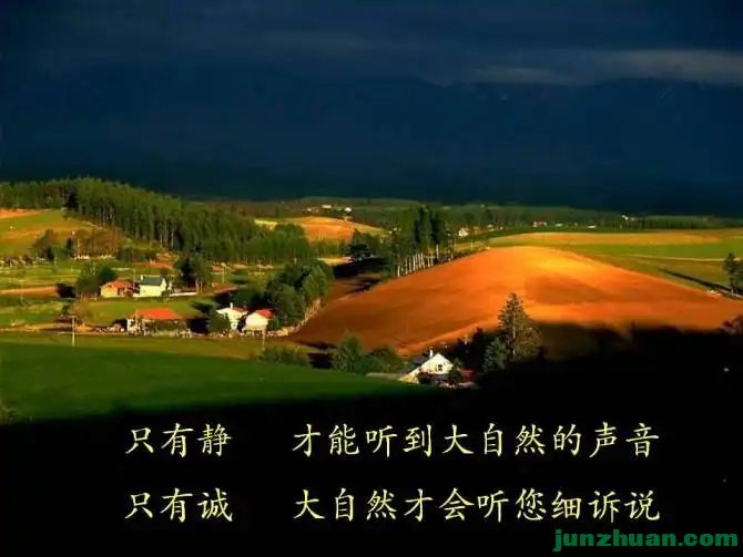 8704852_2.webp.jpg