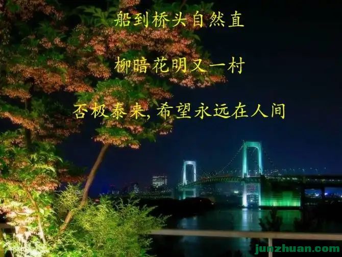 8704852_8.webp.jpg
