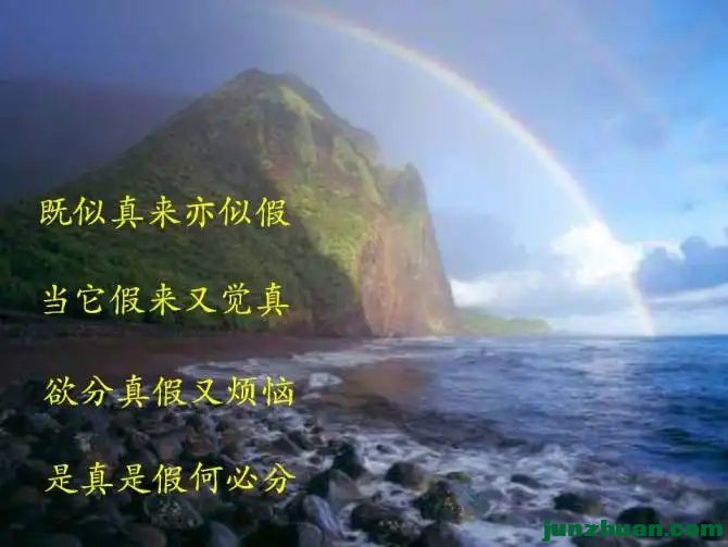 8704852_9.webp.jpg