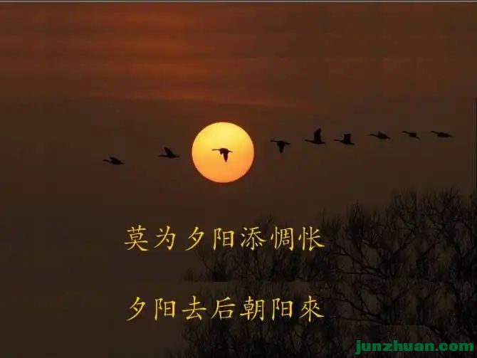 8704852_12.webp.jpg