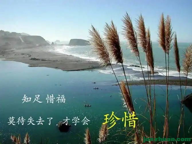 8704852_15.webp.jpg