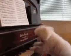 s20131017123956158.gif