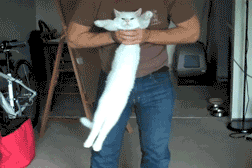 s20131017123957442.gif