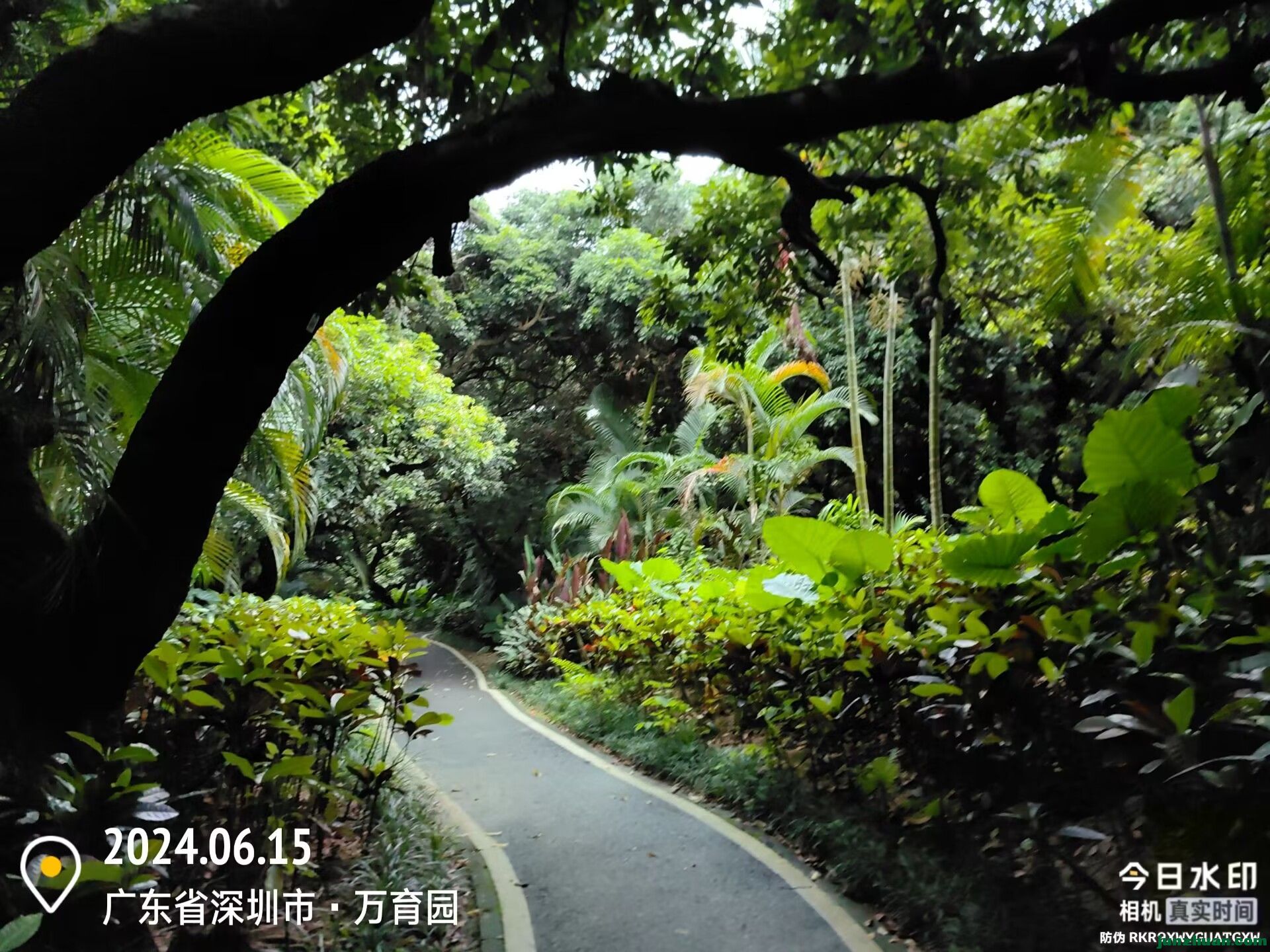 Image_1718411537364.jpg