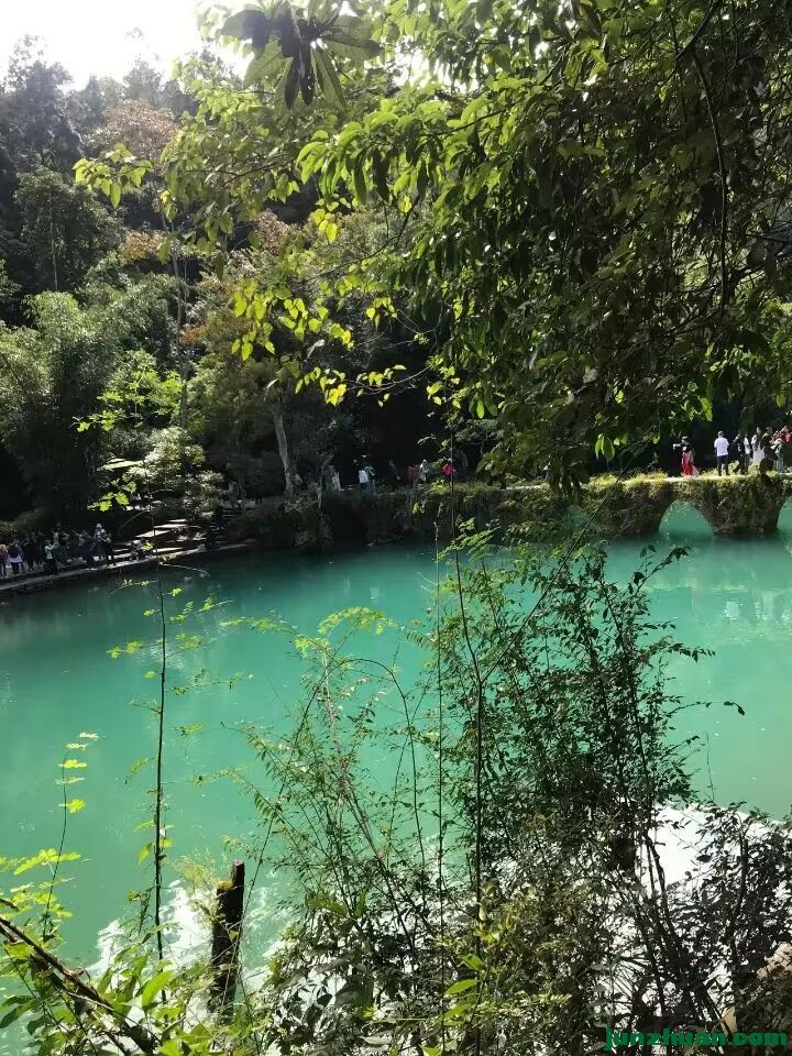 Image_1713040070618.jpg
