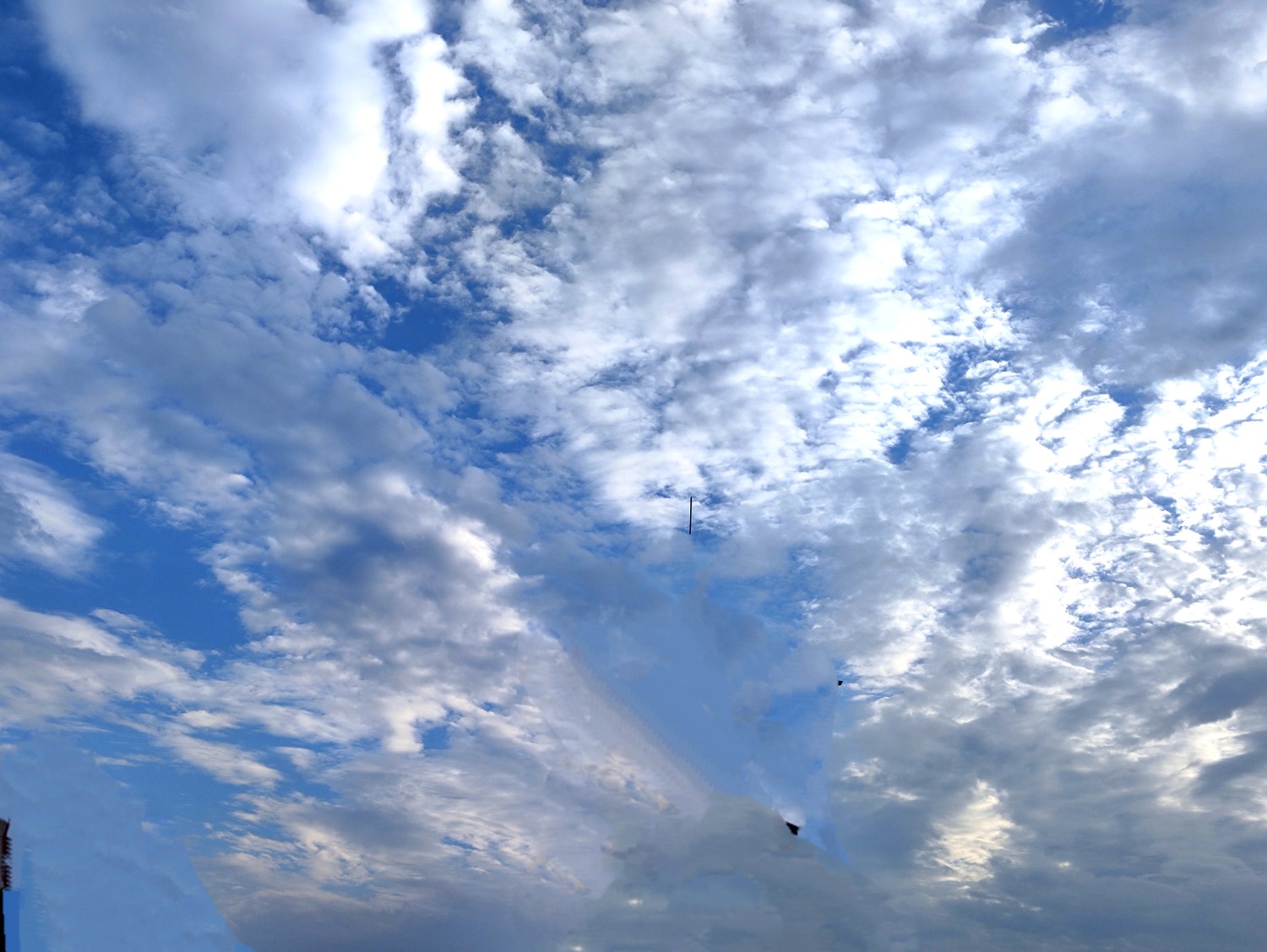 IMG_20240804_065818.jpg