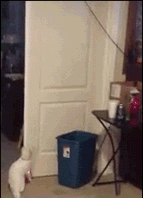 s20131017124038648.gif