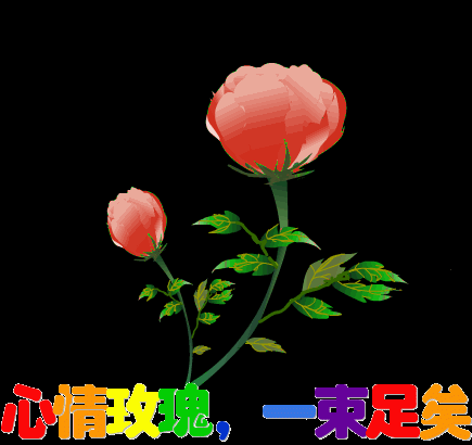 ̬2.gif