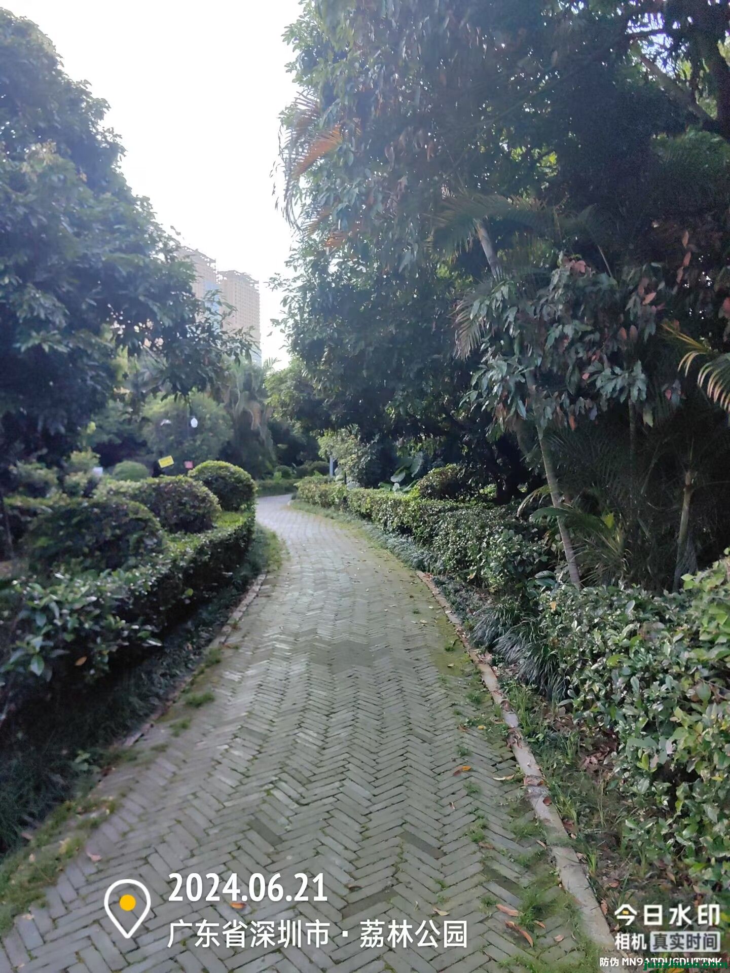 Image_1719103325878.jpg