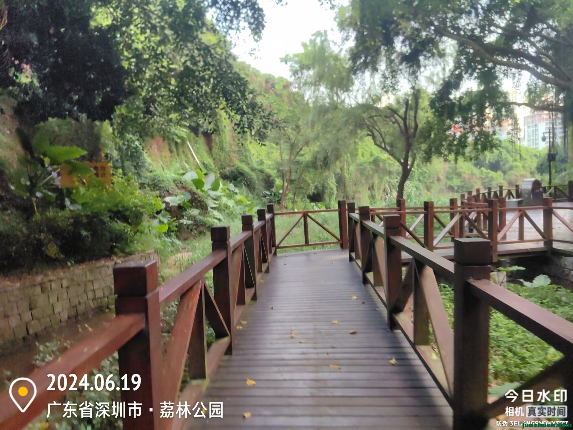 Image_1719103301670.jpg