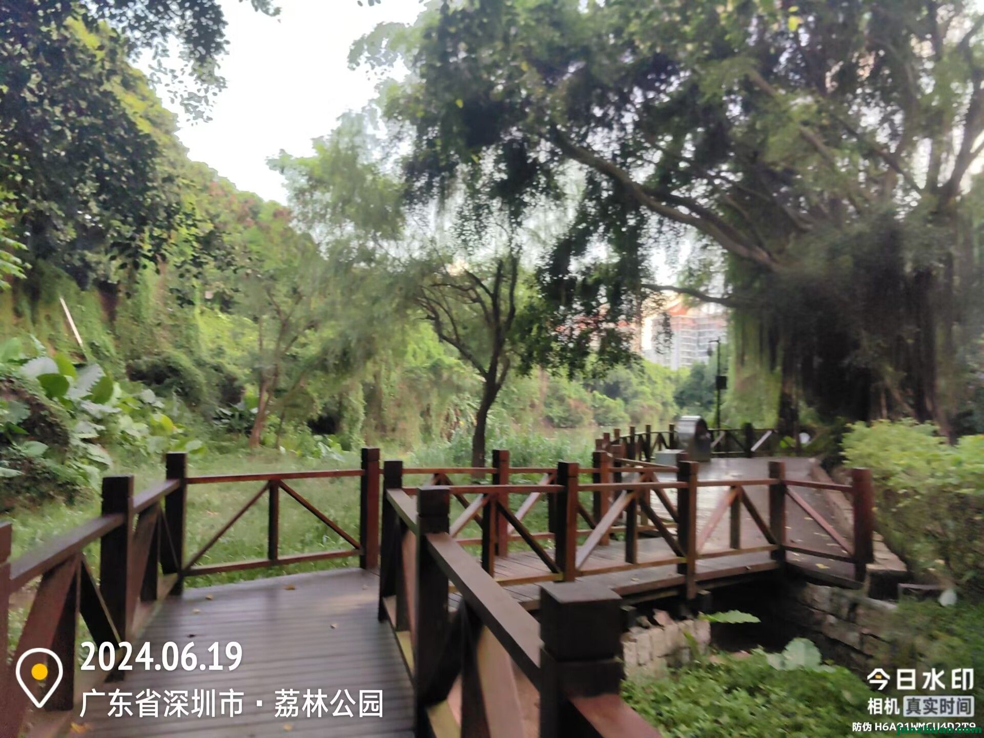 Image_1719103299793.jpg