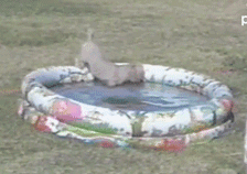 s20131017124109457.gif