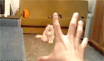 s20131017124113141.gif