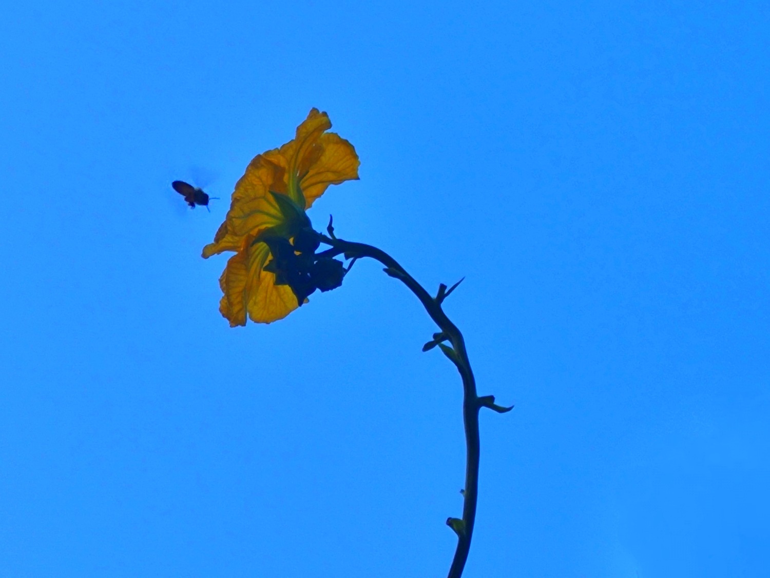 IMG_20240819_192010.jpg
