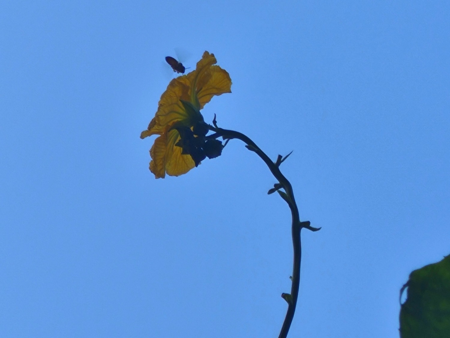 IMG_20240819_192010.jpg