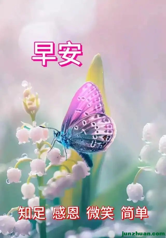287493555_19_20240821060841271.webp.jpg
