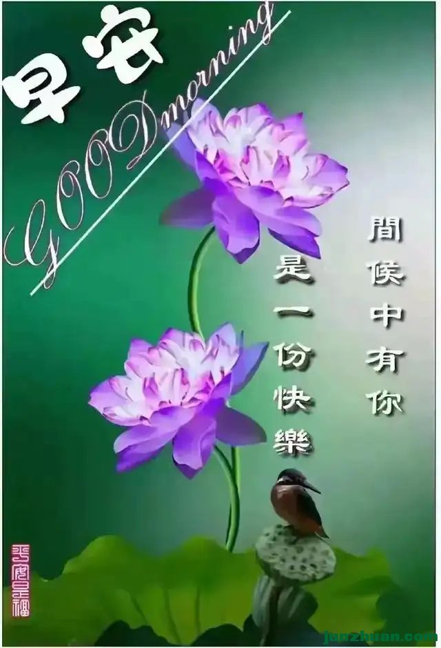 287493555_20_20240821060841429.webp.jpg