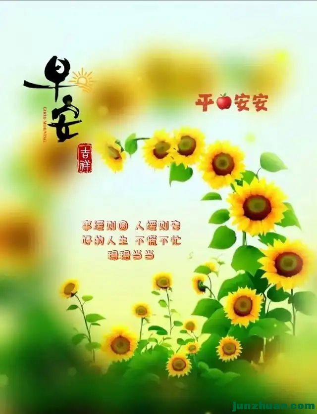 287344794_4_20240817070443646.webp.jpg