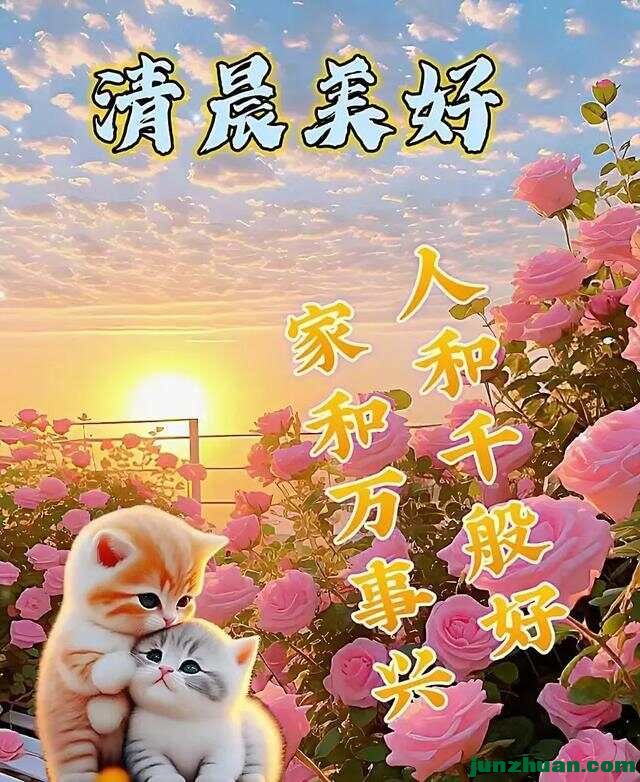 287230643_5_20240814075442177.jpeg