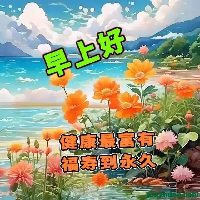 287802704_20_20240829091425977.webp.jpg