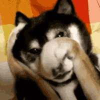 s20131017124225652.gif