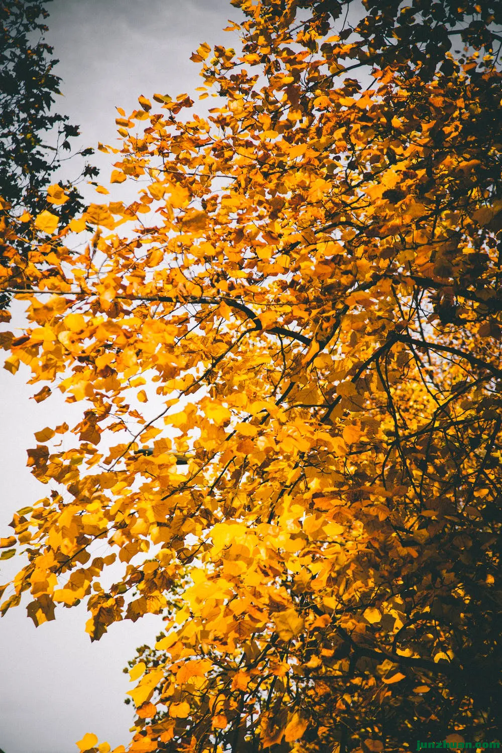 640 (5).webp (3).png