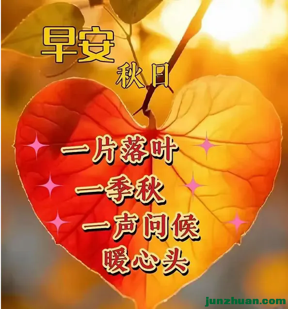 640 (6).webp (4).png