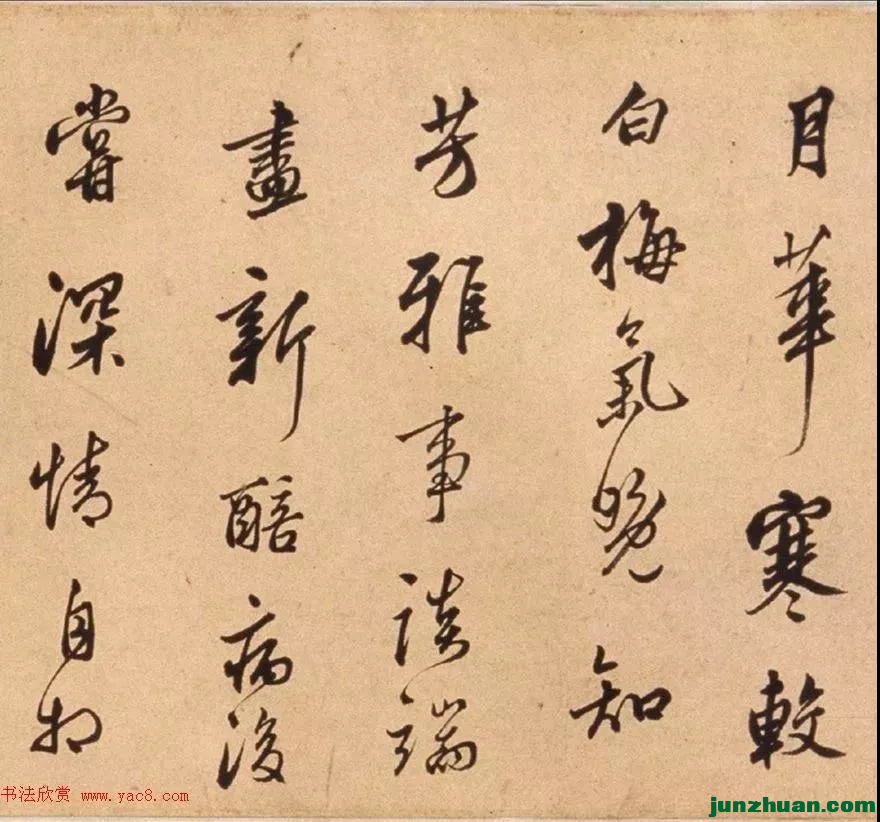 640 (10).webp (1).png