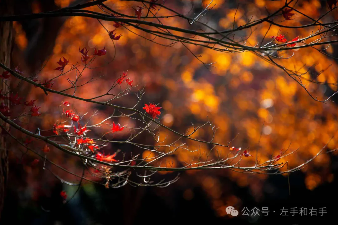 640 (11).webp (15).png