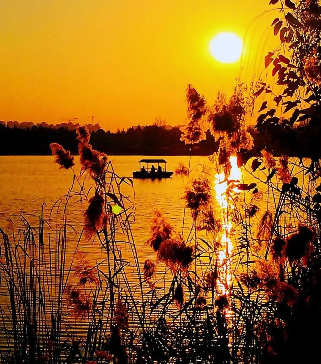 640 (12).webp (4).png