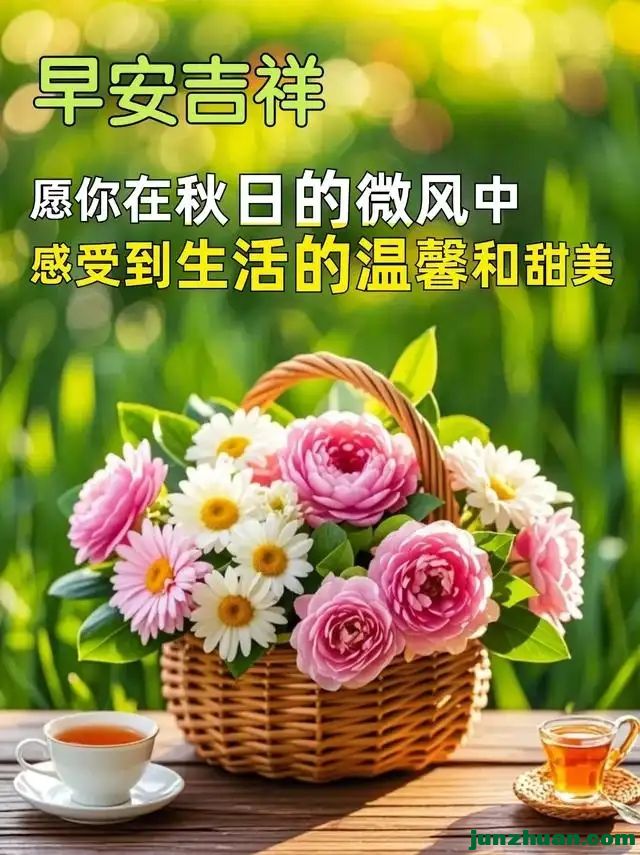 288819576_6_20240923055947629.webp.jpg