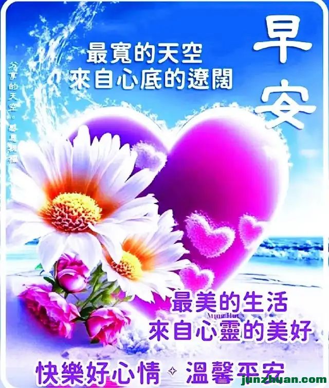 288971322_43_2024092707004850.webp.jpg