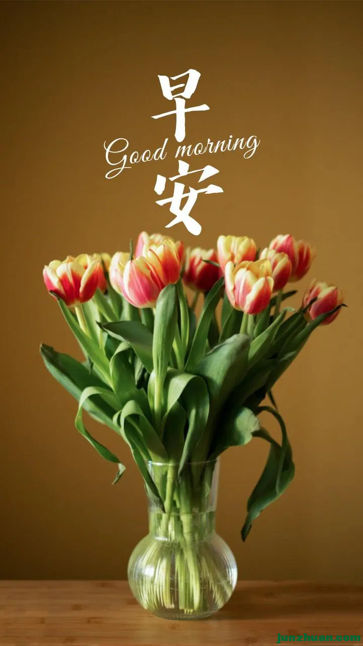 640 (12).webp (12).png