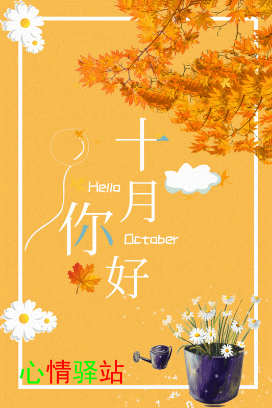 4be868645cc14b128c250fe9b843d434.gif