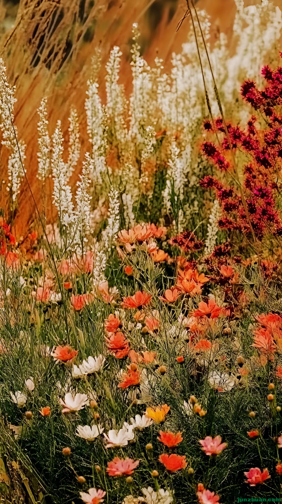640 (15).webp (8).png