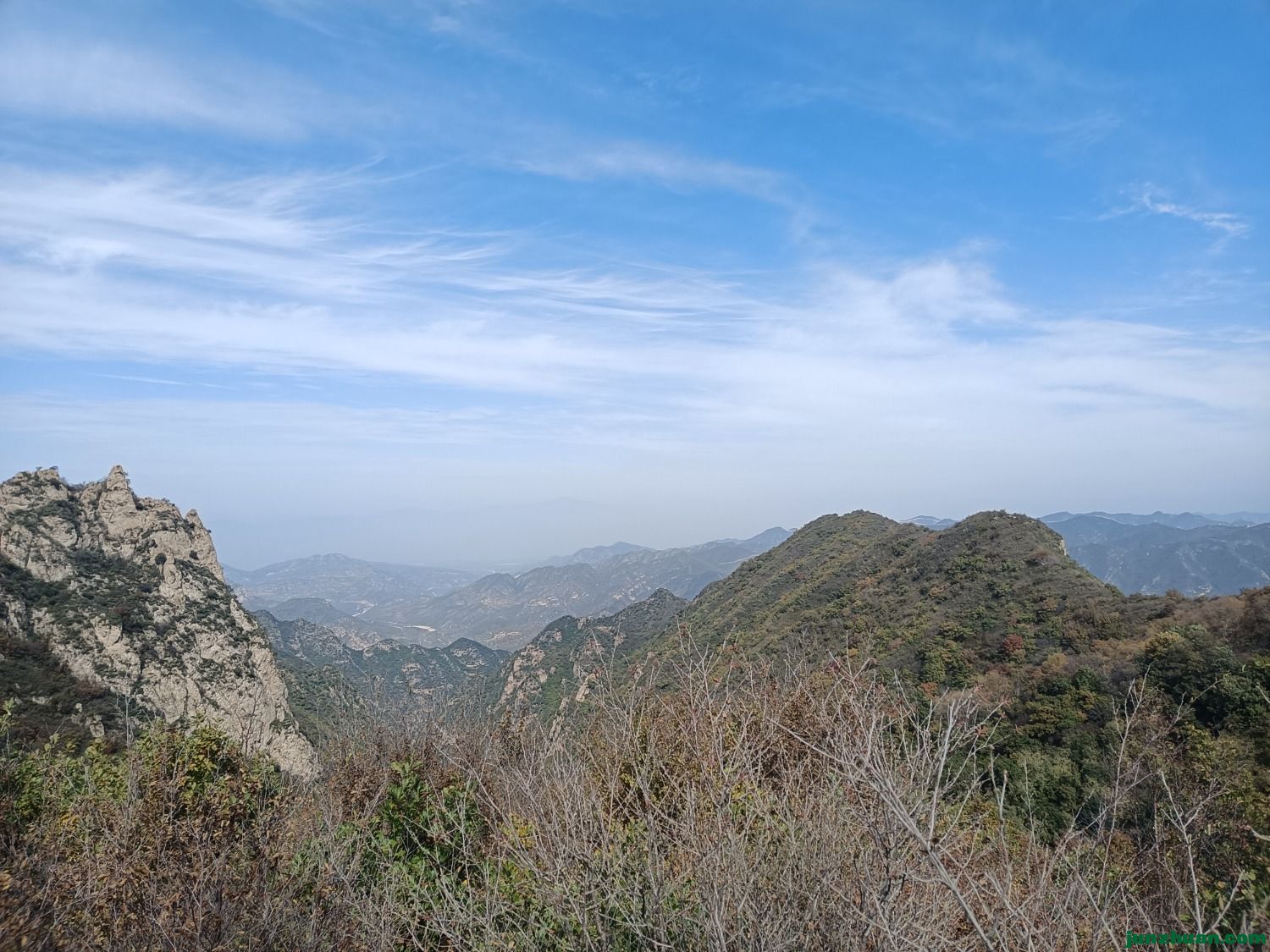 IMG_20241004_115925.jpg